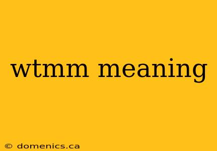 wtmm meaning