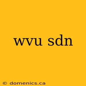 wvu sdn