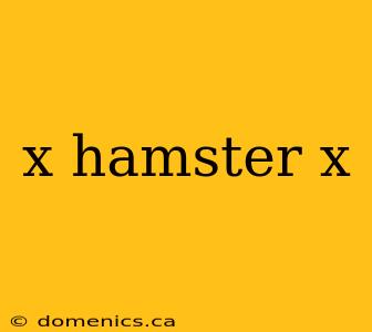 x hamster x