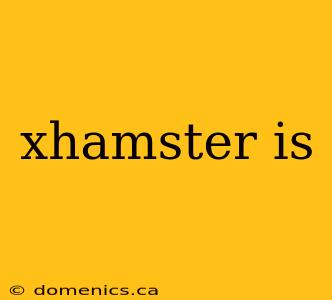 xhamster is