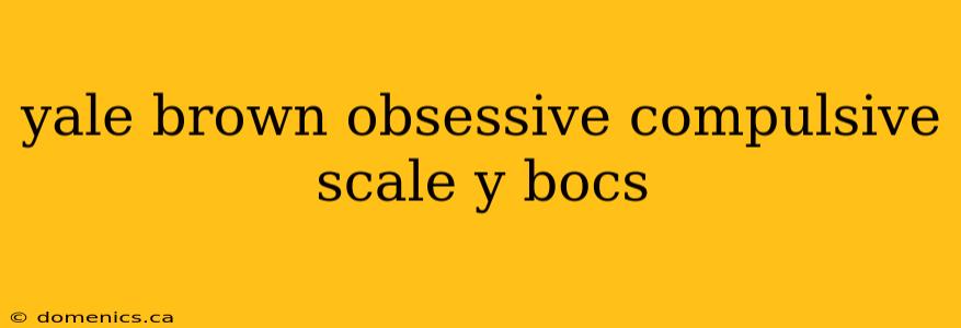 yale brown obsessive compulsive scale y bocs