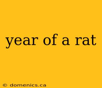 year of a rat