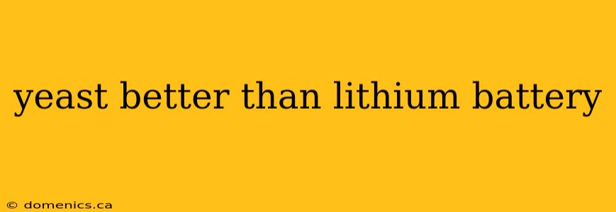 yeast better than lithium battery