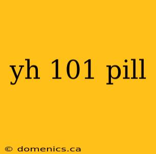 yh 101 pill