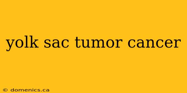 yolk sac tumor cancer