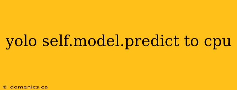 yolo self.model.predict to cpu