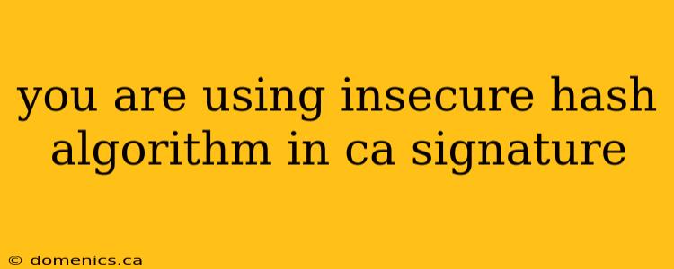 you are using insecure hash algorithm in ca signature