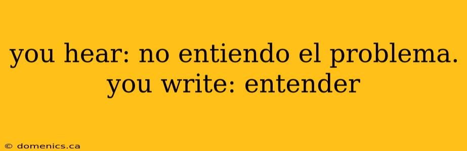 you hear: no entiendo el problema. you write: entender