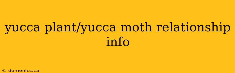 yucca plant/yucca moth relationship info