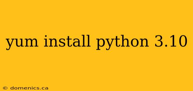 yum install python 3.10