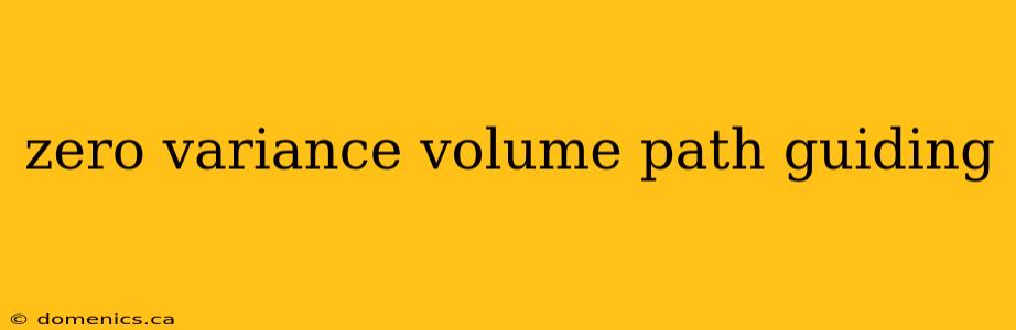 zero variance volume path guiding