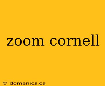 zoom cornell