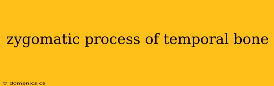 zygomatic process of temporal bone