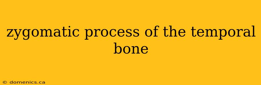 zygomatic process of the temporal bone